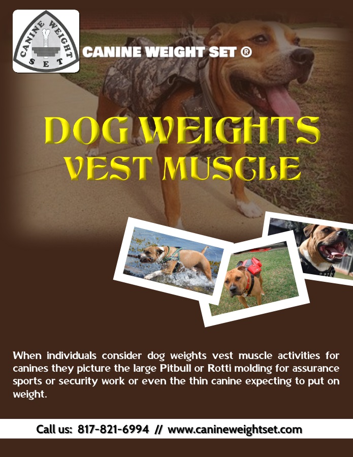 Dog Weights Vest Muscle Blank Template Imgflip