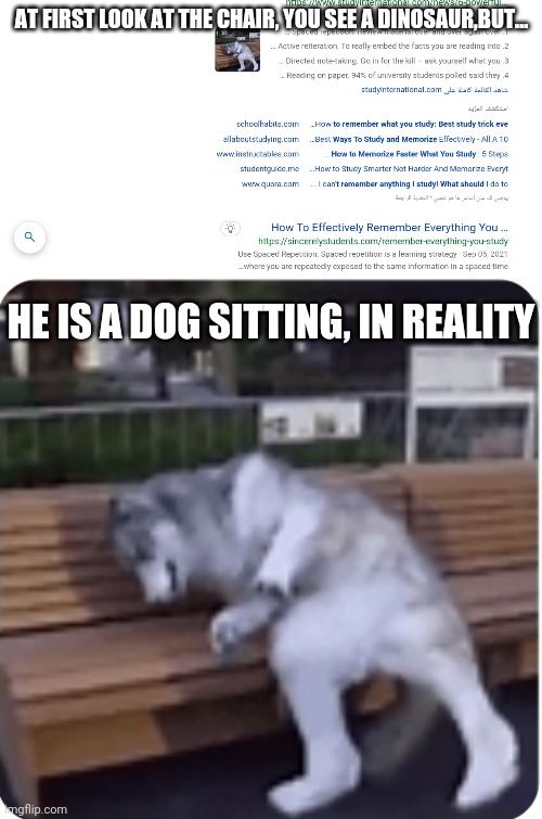 Image tagged in dog trying to be a dinosaur,fakery,chair,dinosaur Imgflip