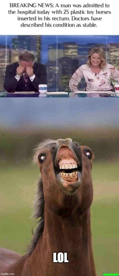 Image tagged in horse face Imgflip
