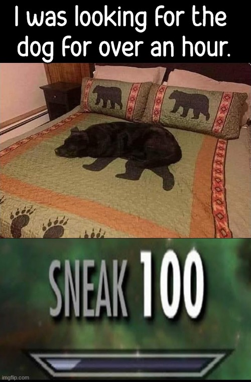 sneak 100 Imgflip