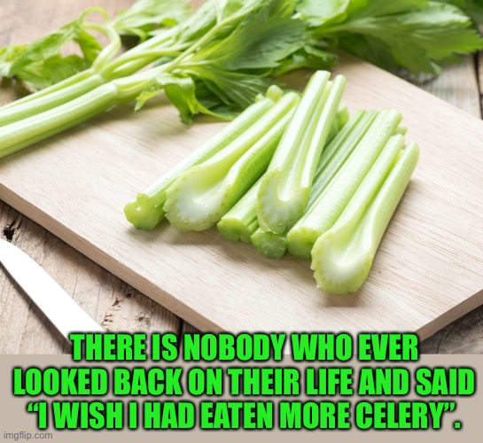 Celery Imgflip