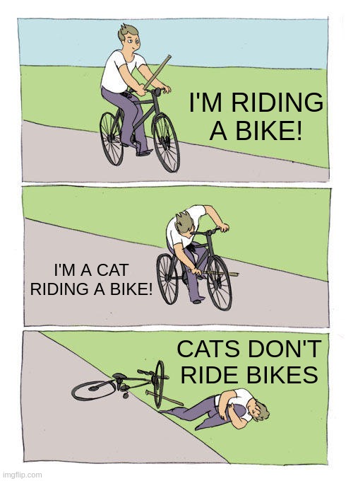 Cats don't ride bikes Imgflip