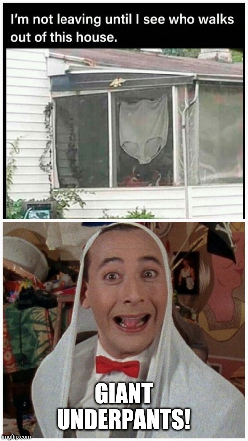 funny memes Memes & GIFs Imgflip