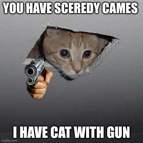 Ceiling Cat Meme Imgflip
