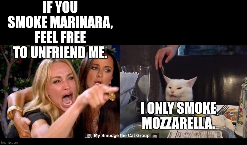 Image tagged in smudge the cat Imgflip