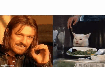 One does not simply yell at cat fast Imgflip
