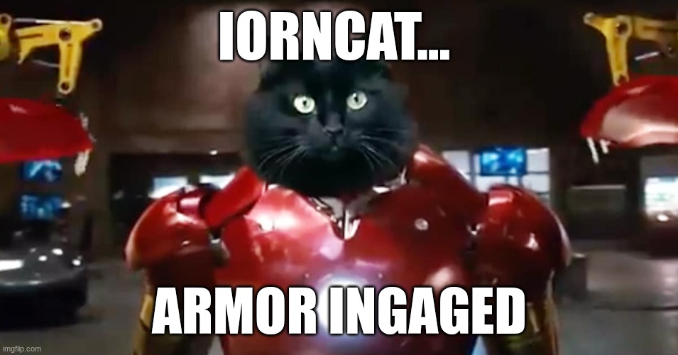 Iorncat Imgflip