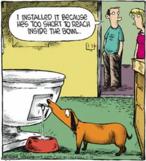 Dog bowl Imgflip
