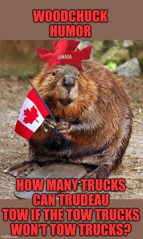 politics woodchuck Memes & GIFs Imgflip