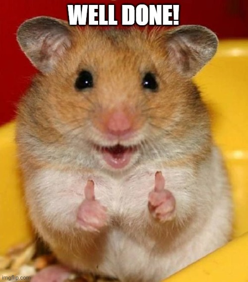 Chairs Have Feelings Too Imgflip