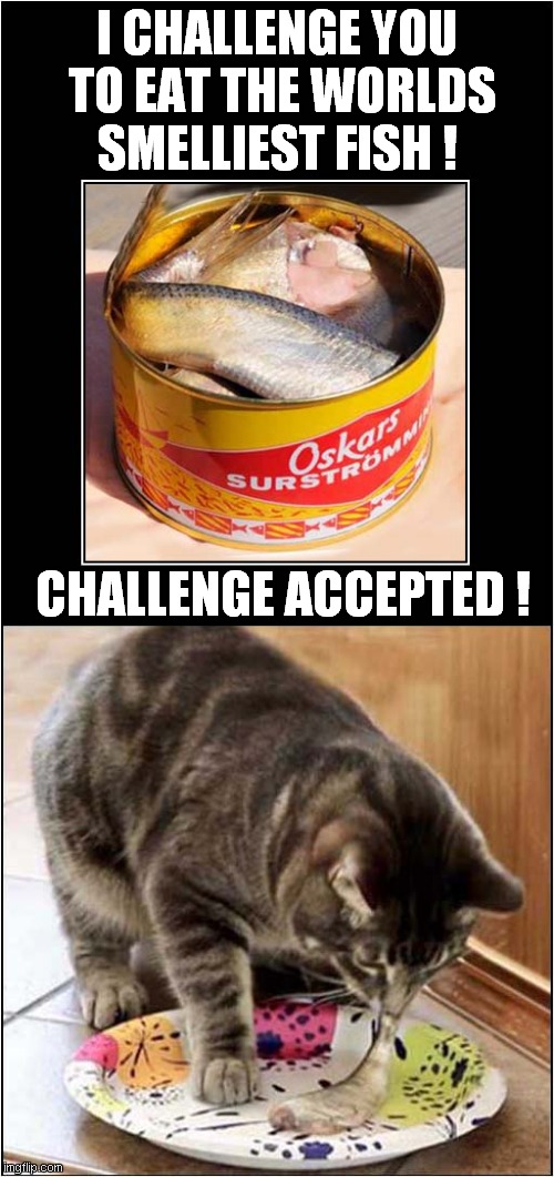 Cat vs Surströmming Imgflip