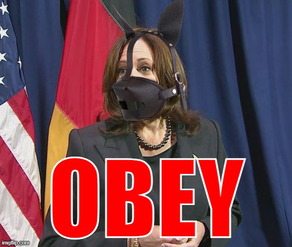 Mistress Kamala demands that you... Imgflip