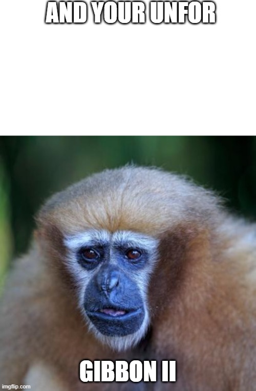 II Imgflip