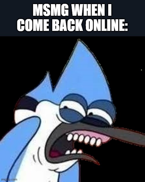 disgusted mordecai Imgflip