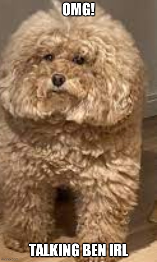 talking ben irl Imgflip