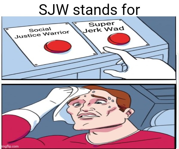 SJW stands for Imgflip