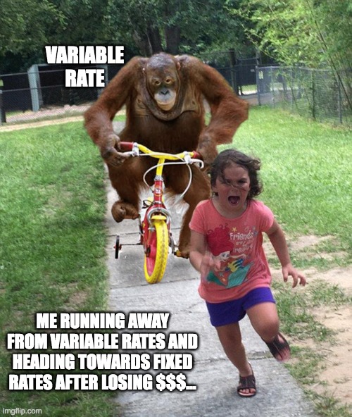 Orangutan chasing girl on a tricycle Imgflip