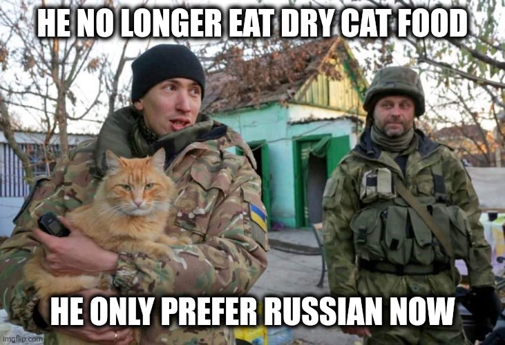Cat only prefer Russian now Imgflip