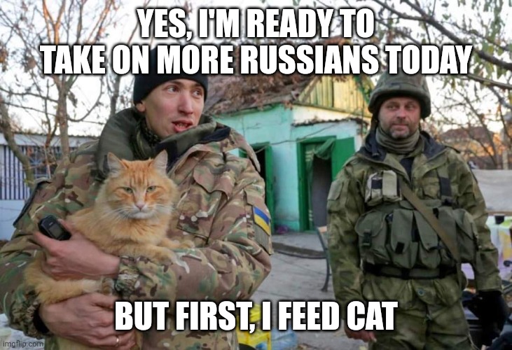 Ukrainian War Cat Memes Imgflip