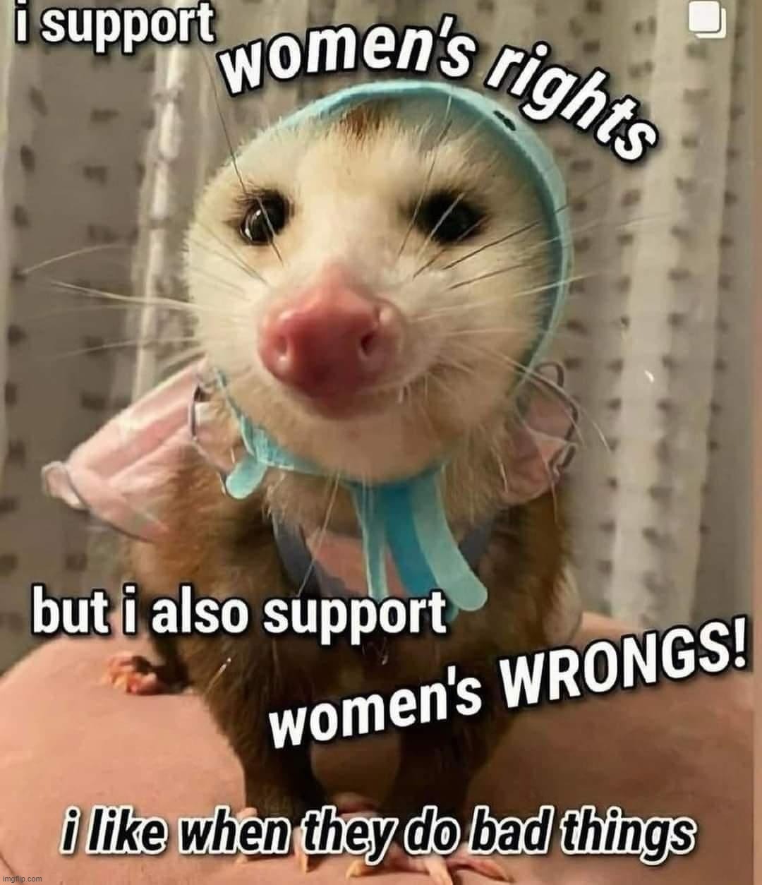 Image tagged in women rights Imgflip