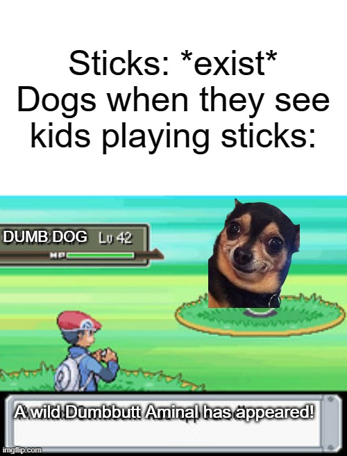 dogs when they see those sticks Imgflip