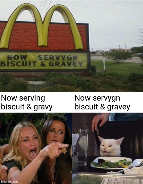 Now servygn biscuit & gravey Imgflip