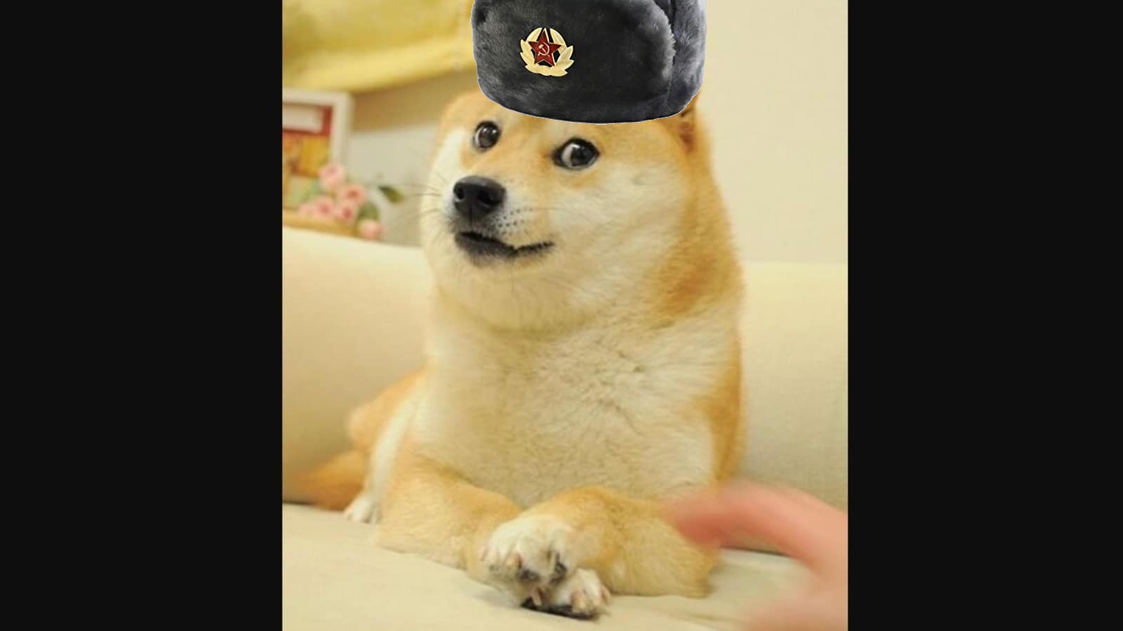 doge with russian hat Memes Imgflip