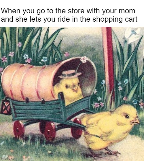 Now I can practice my racecar noises Imgflip