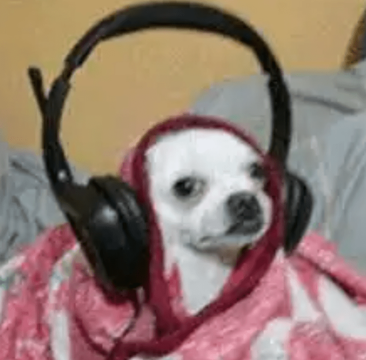 Gamer Dog Blank Template Imgflip