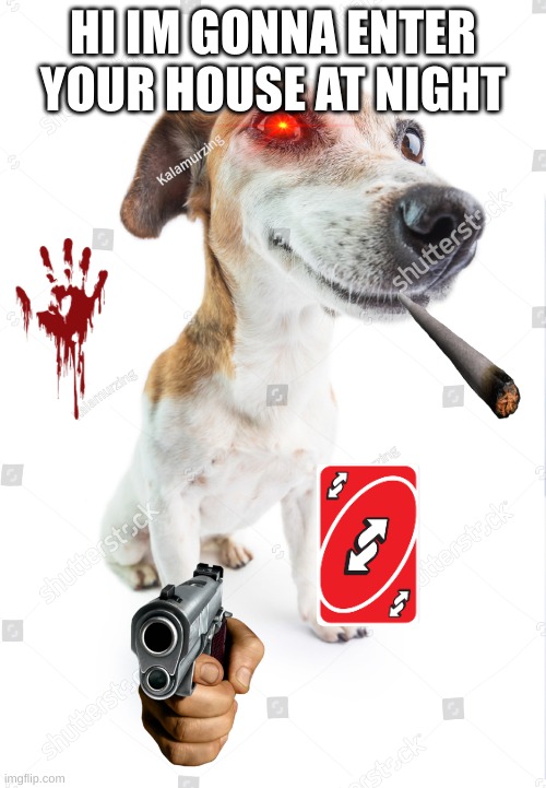 shutterstock dog is coming for you Imgflip