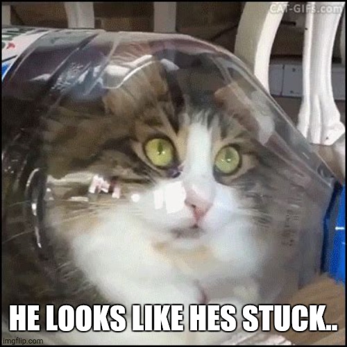 This book is about me, isn’t it? Imgflip