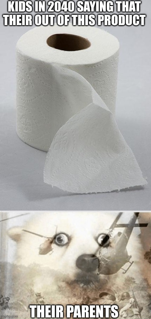 Image tagged in toilet paper,ptsd dog,2020 joke,idk if i got the years