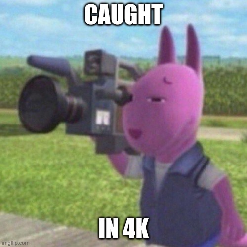 you have been caught in 4K Imgflip
