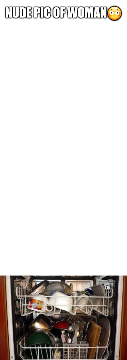 Image tagged in blank white template,dishwasher Imgflip