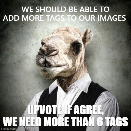 LOOK, MAX TAGS ONLY 6, IT SHOULD BE 10 RYT Imgflip