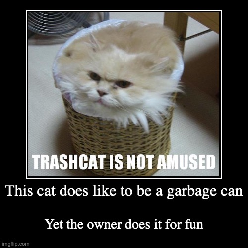 Trashcat Imgflip