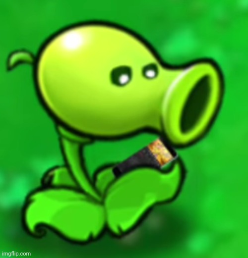 Peashooter looking at his phone Imgflip