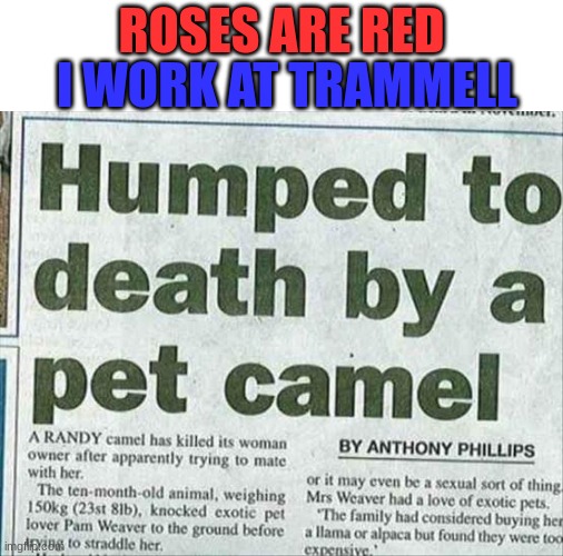 Image tagged in funny,news,headlines,roses are red Imgflip