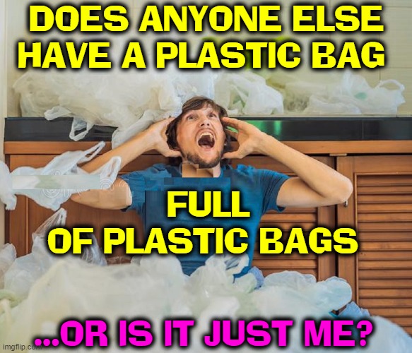 Am I the Bag Man —in a world full of Plastic Bags? Imgflip
