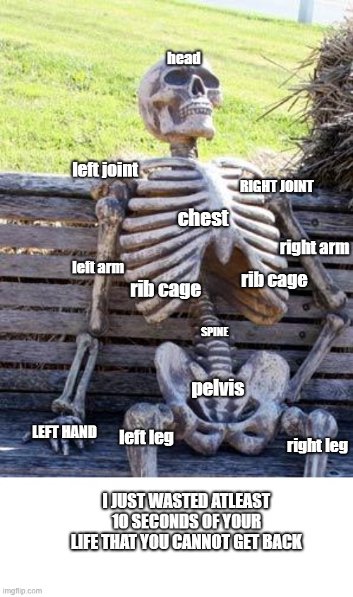 Waiting Skeleton Meme Imgflip