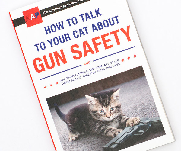 How to talk to your cat about gun safety Memes Imgflip
