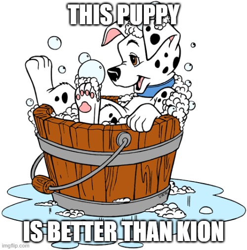 Puppy In The Bath Bucket Imgflip