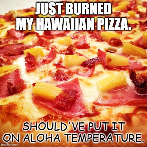 Hawaiian pizza Memes Imgflip