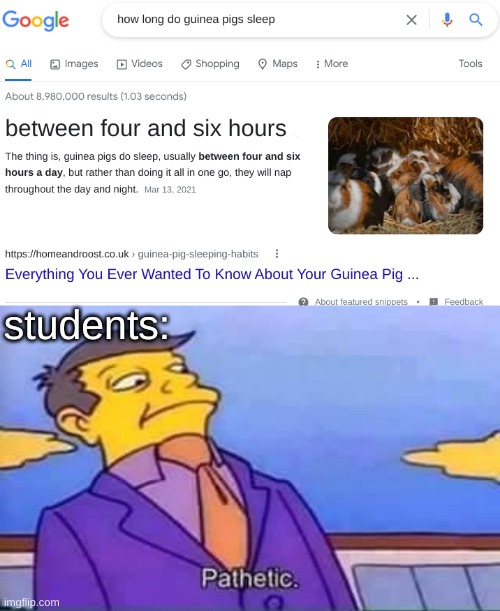 i wish i could nap intermittently throughout the day Imgflip