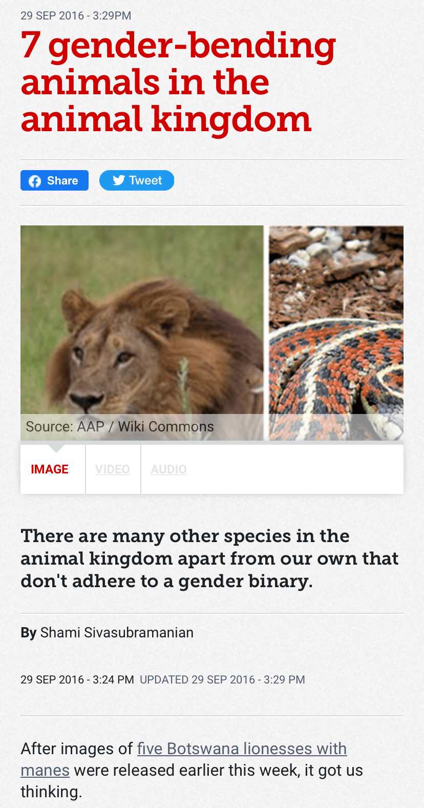 Genderbending animals Blank Template Imgflip