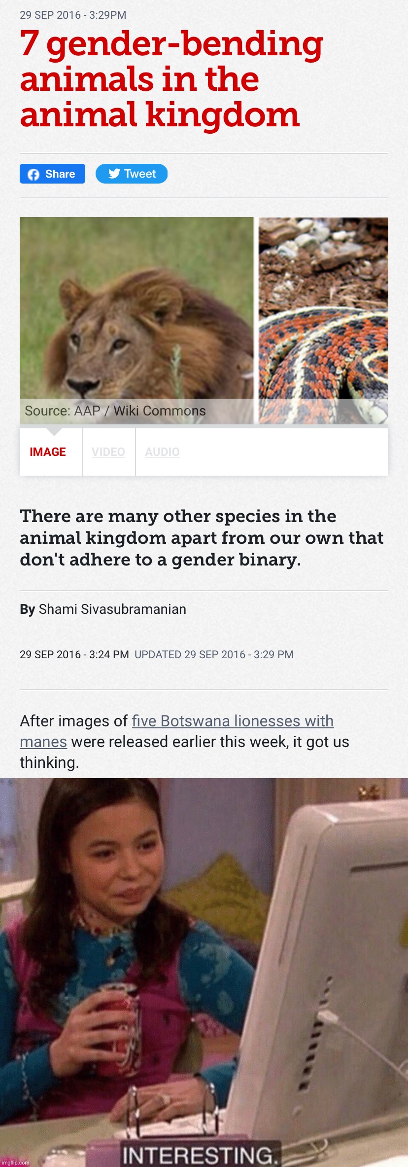 Lionesses with manes and much more! Isn’t science cool? Imgflip