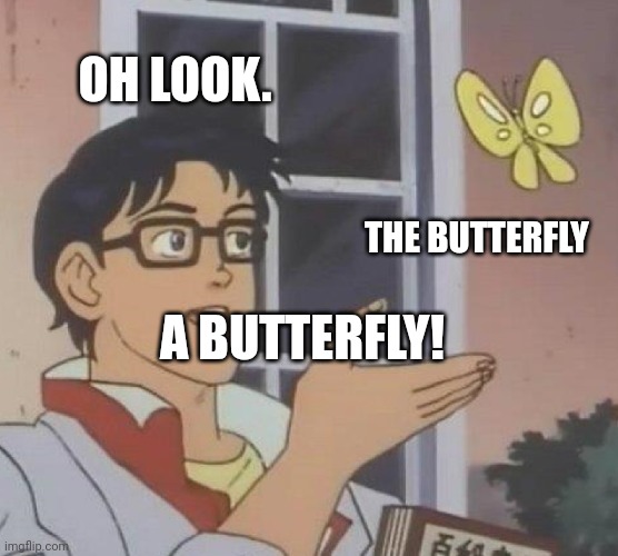 Butterfly! Imgflip