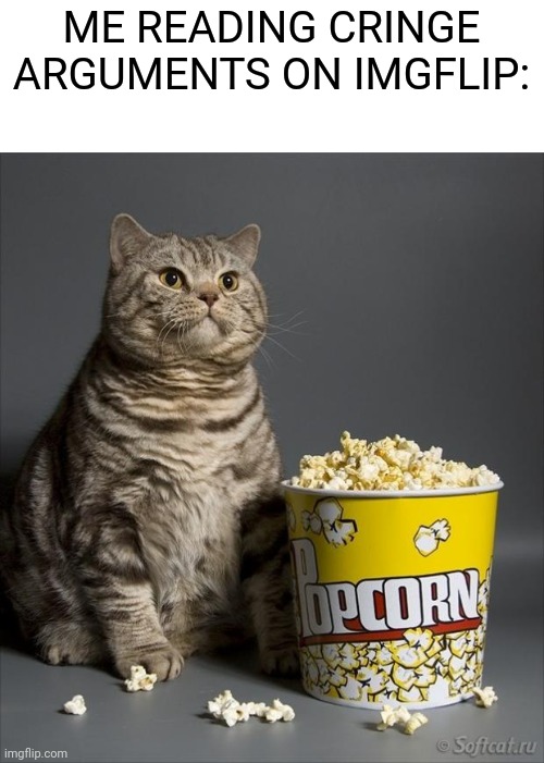 Cat eating popcorn Imgflip