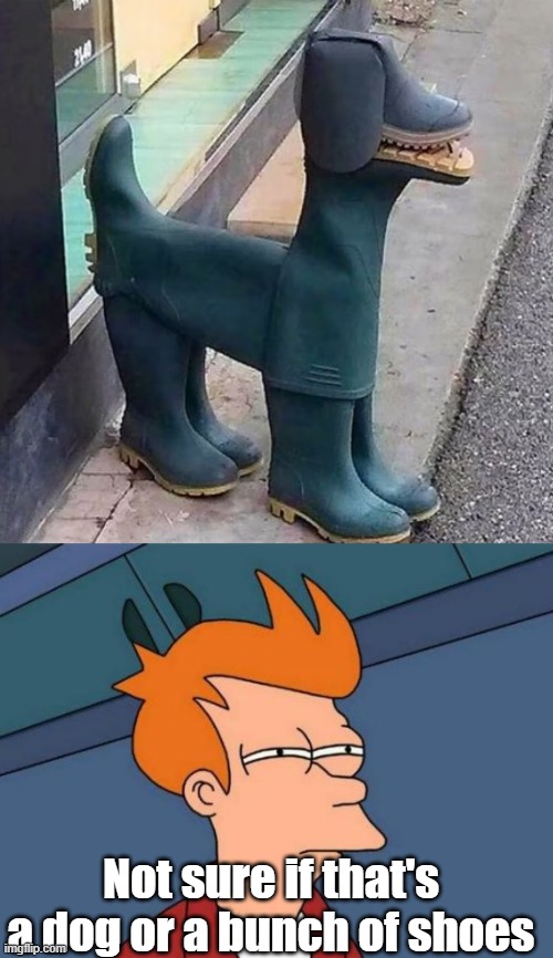 Image tagged in memes,futurama fry Imgflip