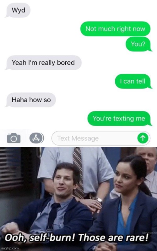 roasts Memes & GIFs Imgflip